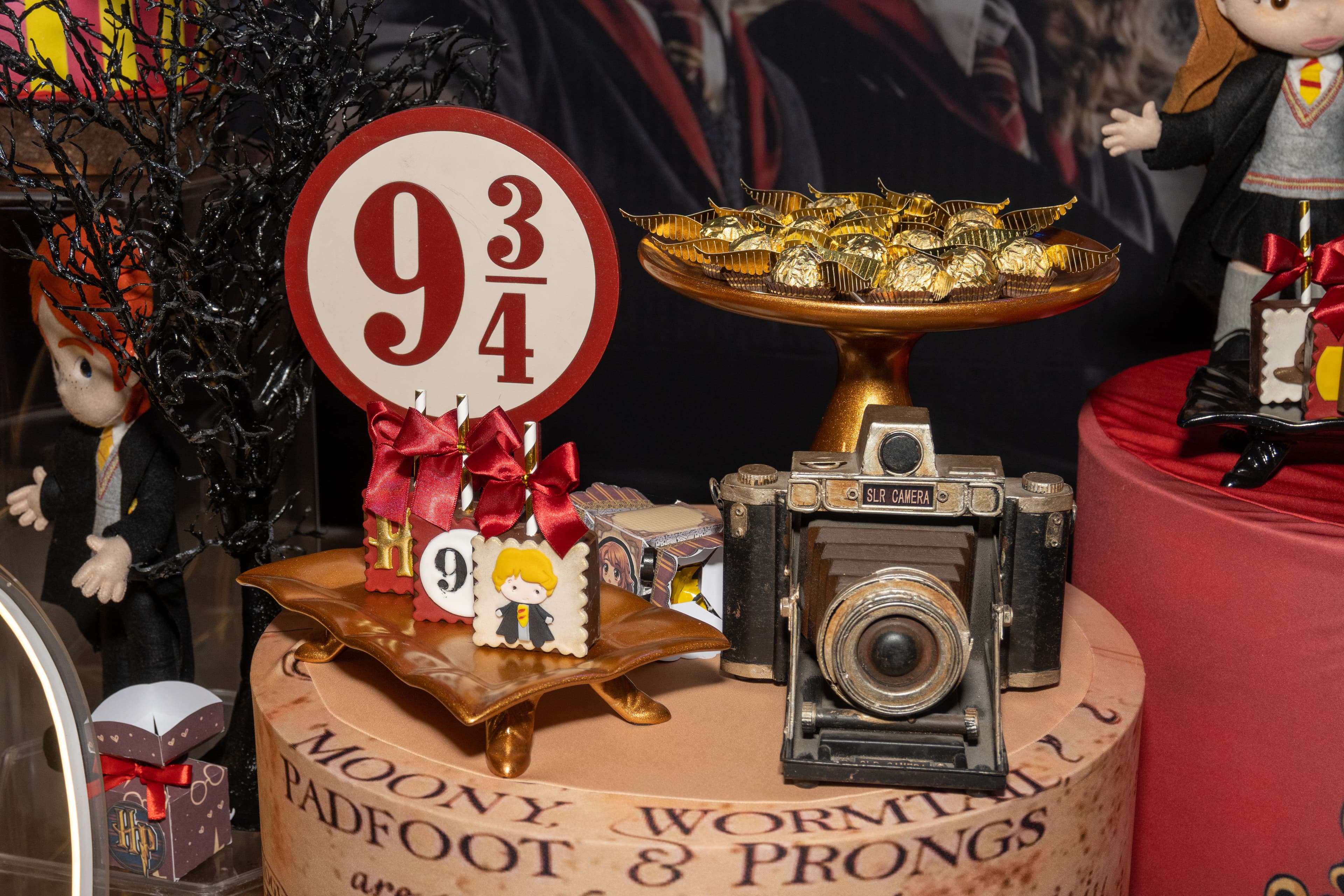 Isabella e seus amigos celebrando o aniversário mágico